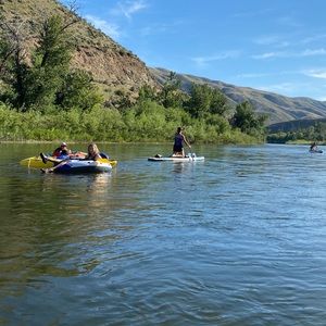 Meet your Posher, Audrey